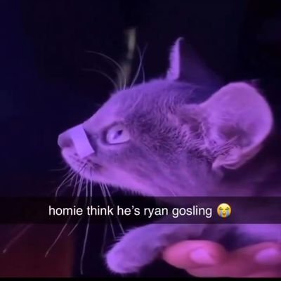 rockanhe's profile picture. Honor is dead. But i'll see what can i do.