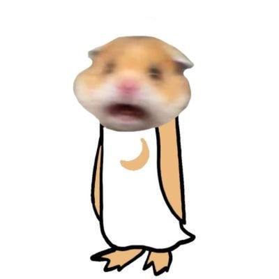 hamsta0x's profile picture. 