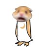 hamsta0x's profile picture. 
