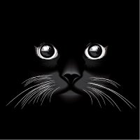 Olivaros Welt (@olivarosw) 's Twitter Profile