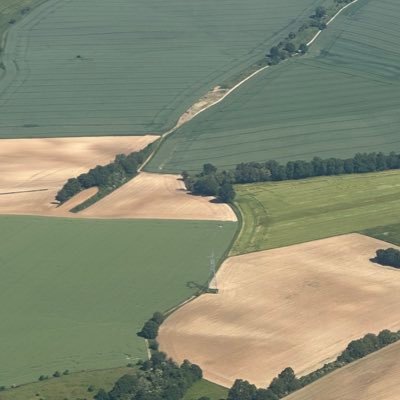 reihemroy's profile picture. 