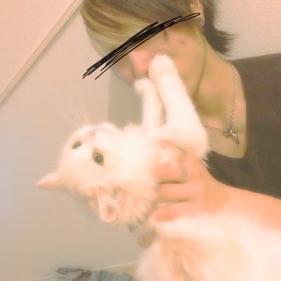 エペ スト6 dbd ow モンハン