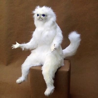 Sapere_Odd's profile picture. 