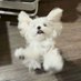 Haoo (@haoo072588) Twitter profile photo Haoo (@haoo072588) Twitter profile photo