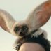 Casey Conroy (@casey_actual) Twitter profile photo Casey Conroy (@casey_actual) Twitter profile photo