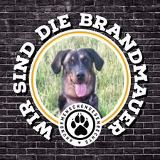 Erdenbürger, Krebskrank, Naturliebhaber und für mehr Umweltschutz. Ich bashe fossile Brennstoffe!Mastadonadresse : (Nicole Rostock)@beauceron@mastodon.social