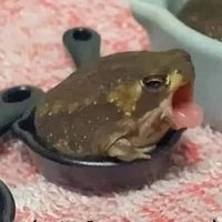smol evul frogge (tsqriffraff.bsky) ππ - β€οΈππ€ (@tsqriffraff) 's Twitter Profile