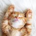 ãã@æšªæµ (@gigabit777) Twitter profile photo ãã@æšªæµ (@gigabit777) Twitter profile photo