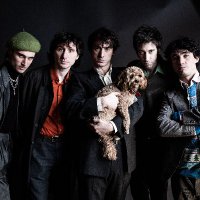 Fat White Family(@FatWhiteFamily) 's Twitter Profile Photo