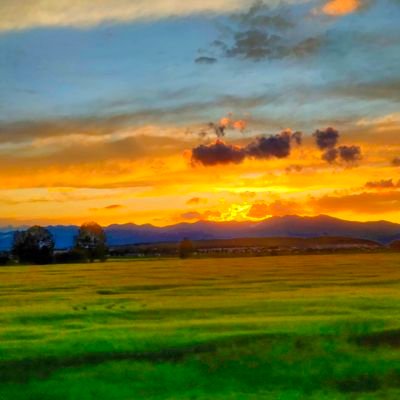 kwellyy313's profile picture. 加密世界的加奇