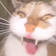 broxcsgo's profile picture. 16