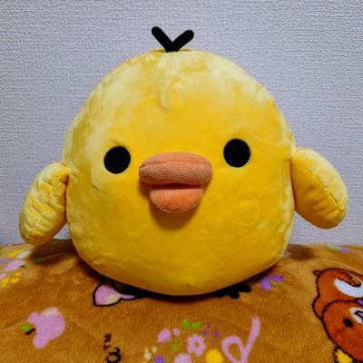 ∠ちゃんゆさんのプロフィール画像