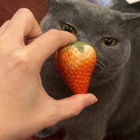 Kay1o1 (@kay1o1uuuu) 's Twitter Profile