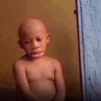 Alberta Willms (@albertawil84929) 's Twitter Profile