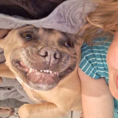 HELP FIND STOLEN DOG!
We have been looking for our Bella since she went missing July 29, 2023💔
PLEASE VISIT
https://t.co/Y5g04F4MpO