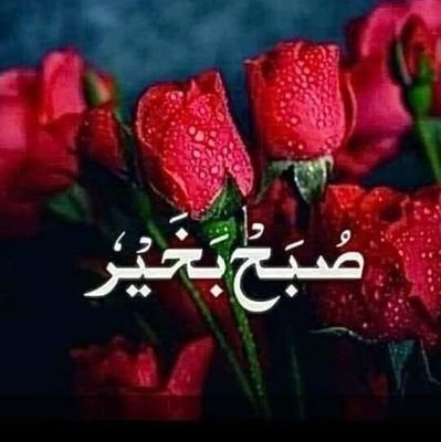ACCOUNT BNA KR UID INBOX SEND ME BIG ADVANCE ON REGISTRATION BASE
1 TO 6 LEVEL SEALRY 6%
https://t.co/ftvZV1W5N5