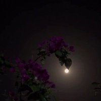 خدمات اكترونية (@ekk_2020) 's Twitter Profile