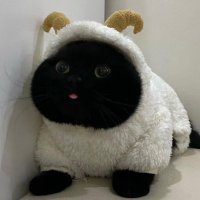 SimP Cat(@thuan49608) 's Twitter Profile Photo