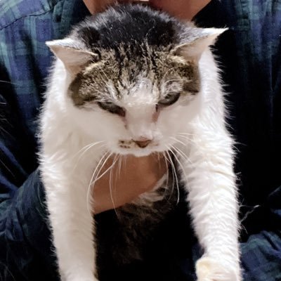 べにぴぴさんのプロフィール画像