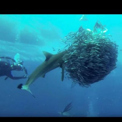 BBXXglaros's profile picture. 