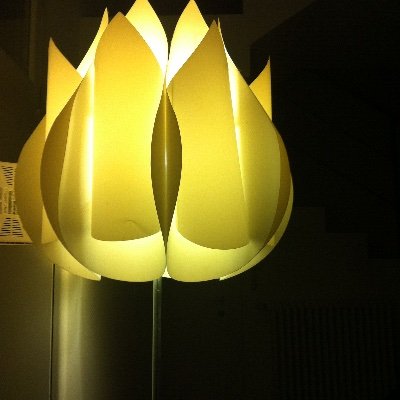 Umanesimo70's profile picture. 