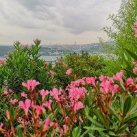 metin (@metin857389) 's Twitter Profile