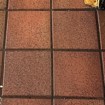 pinenutcone's profile picture. 