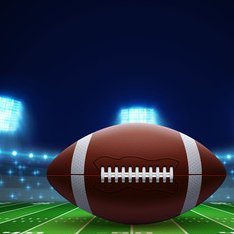 The Super Bowl is the annual American football game that determines the champion of the National Football League (NFL). The game culminates a season that begins