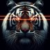 Tiger (@ryanTHEtiger) Twitter profile photo