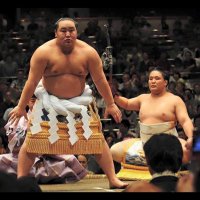 Avatar of Asashoryu第68代横綱朝青龍🇯🇵🇲🇳