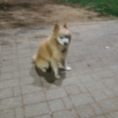 tasoskakoulis's profile picture. 