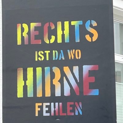 Deutsch-Iranerin, Lehrerin, Demokratin ohne wenn und aber, bisschen süchtig nach Kaffee und Netflix. #noafd