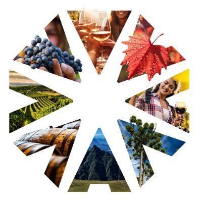 🍇Importante suporte em todas as áreas da vitivinicultura.
🍷Conheça a região de altitude de SC e tenha a melhor experiência nas vinícolas associadas!