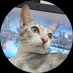 Redwhi73 (@kw4ts) Twitter profile photo Redwhi73 (@kw4ts) Twitter profile photo