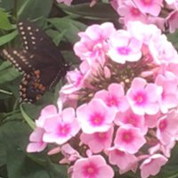 @ns (@ns200026) 's Twitter Profile Photo