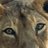 carrascoalbert6's profile image
