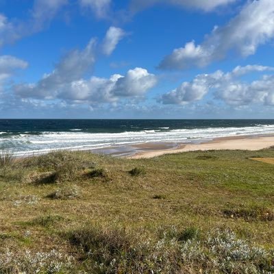 mariamerba's profile picture. vecina de tigre Deseo que este país priorice la justicia.