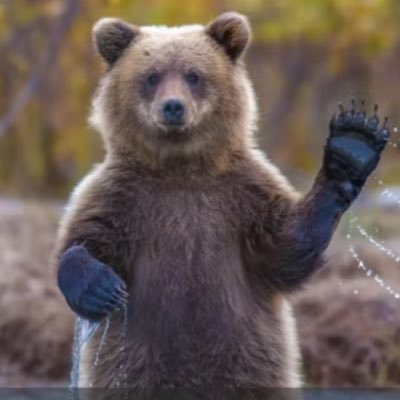 Tetheos1's profile picture. 