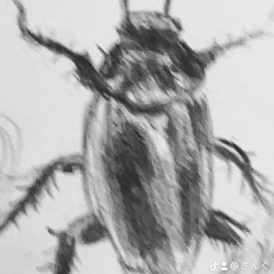 eL88NUvVEPwKrkH's profile picture. 🗑⛄️