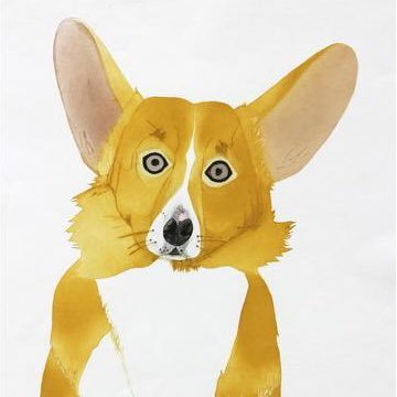 Petal the Corgi