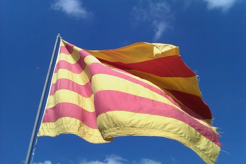 jd_romo's profile picture. 