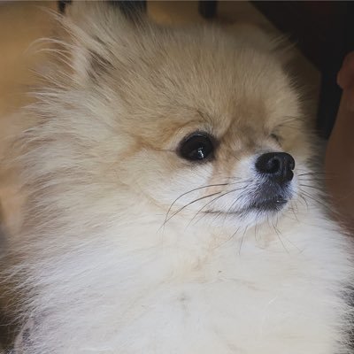 YoonKumaLover's profile picture. ตามหลักๆ 2 คู่นะคะ #SNSD #YoonA #Taeyeon OT9 #LingOrm #น้ำหนึ่งเนย