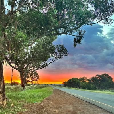 neguinhavavahot's profile picture. U6RJUW33