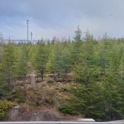 ayhandogan_'s profile picture. Dürüstlük, hak, adalet ve Filistin yanlısı.