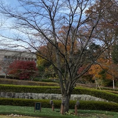 tomoshi54364150's profile picture. 科学コミュニケーションとか興味あります。発達障害とアファンタジア(重度)持ってます。