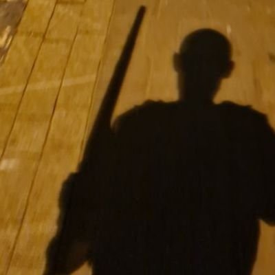 RealMShalev's profile picture. אחד אחר