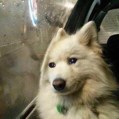 SaunaPaska's profile picture. Boss click i