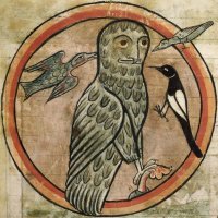 Kamron Ebert (@ebertkamro22877) 's Twitter Profile