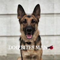 Dog Bites Man(@dogbitesmanfilm) 's Twitter Profile Photo