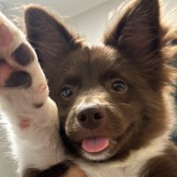 밤팅이.. (@bamtingoo) 's Twitter Profile Photo